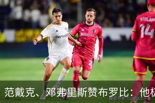 范戴克、邓弗里斯赞布罗比：他极难对付 和卢卡库有相似之处